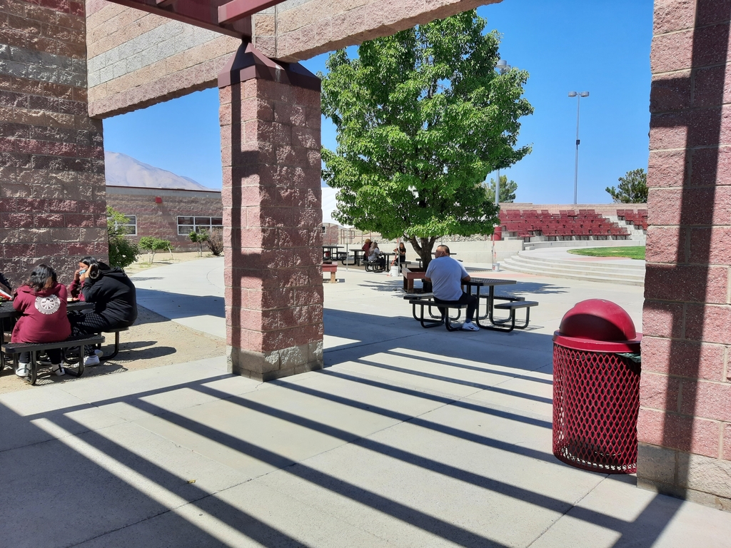 several students eating lunch at picnic tables