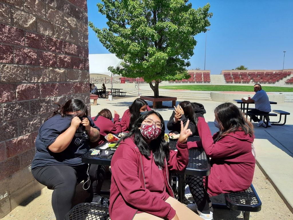 several students eating lunch at picnic tables
